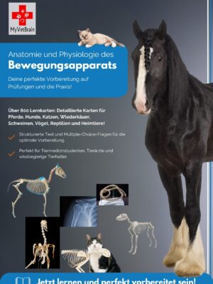 Cover Anatomie und Physiologie Tiermedizin