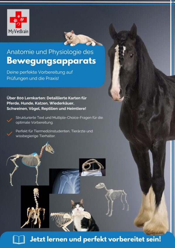 Cover Design für Produkt zur Anatomie und Physiologie des tierischen Bewegungsapparats