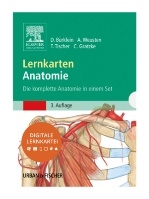 Digitale Karteikarten Anatomie