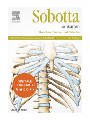 Sobotta – Knochen, Bänder und Gelenke – Digitale Lernkarteikarten