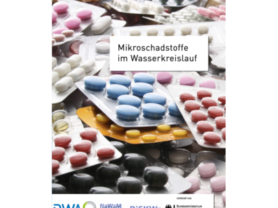 Mikroschadstoffe im Wasserkreislauf DWA Verlag