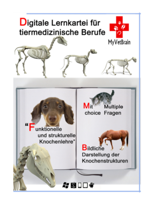 Digitale Lernkartei für tiermedizinische Berufe