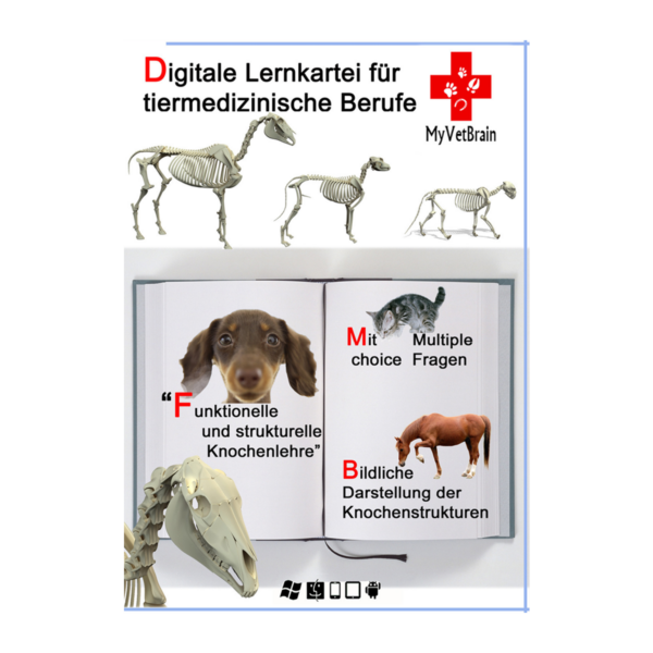Digitale Lernkartei für tiermedizinische Berufe