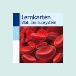 Thieme_Verlag_Lernkarten_Blut_Immunsystem_und_lymphatische_Organe