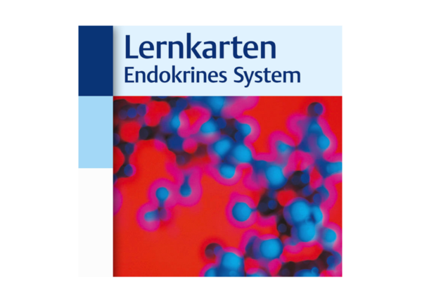 Lernkarten Endokrines System