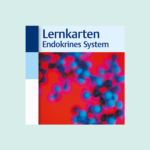 Thieme_Verlag_Lernkarten_Endokrines_System