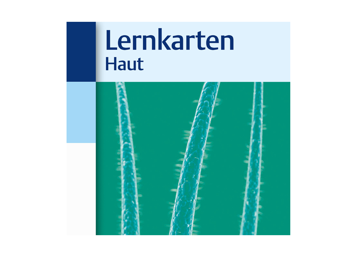 Lernkarten Haut und Hautanhangsgebilde BRAINYOO Cloud Lernsoftware