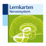 Thieme_Verlag_Lernkarten_Nervensystem