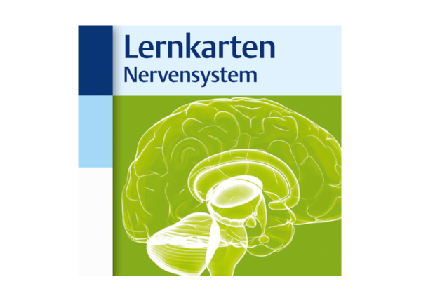 Lernkarten Nervensystem