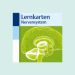 Thieme_Verlag_Lernkarten_Nervensystem
