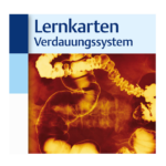 Thieme_Verlag_Lernkarten_Verdauungssystem