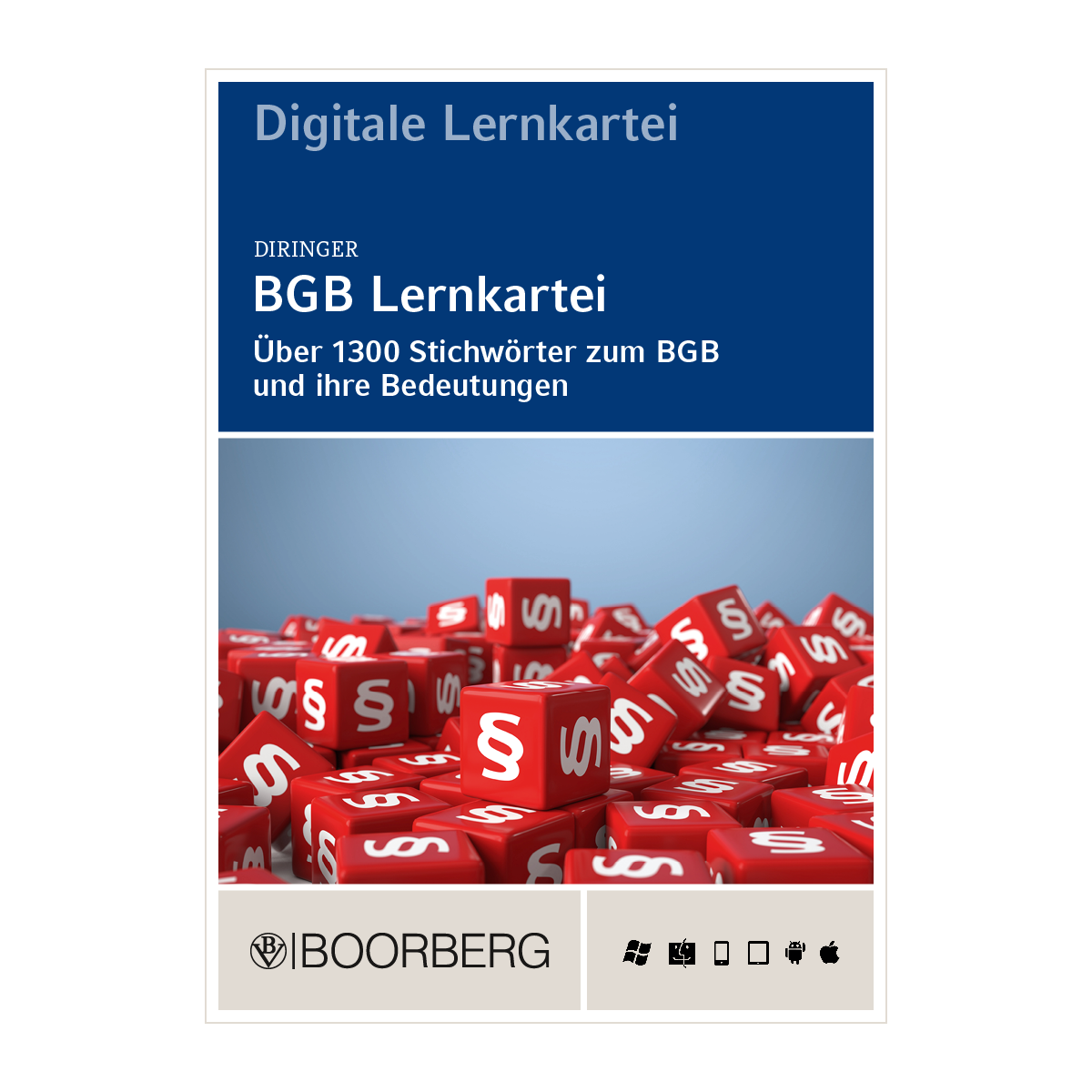 Boorberg_DIRINGER_BGB_Lernkartei