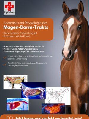 Cover zum Produkt Anatomie und Physiologie Magen Darm Trakt - Tiermedizin