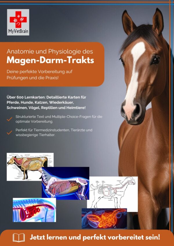 Cover zum Produkt Anatomie und Physiologie Magen Darm Trakt - Tiermedizin