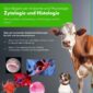 Cover zum Produkt Zytologie und Histologie - Tiermedizin