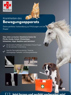 Cover für das Produkt "Krankheiten des Bewegungsapparats - Tiermedizin" von MyVetBrain