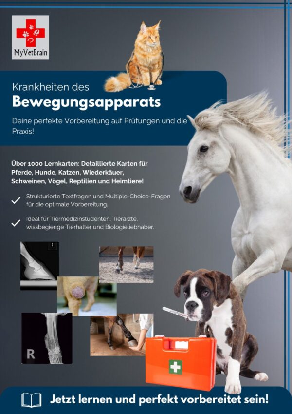 Cover für Produkt Krankheiten des Bewegungsapparats - Tiermedizin