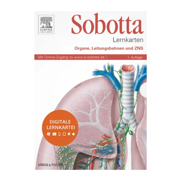 Sobotta – Karteikarten Organe, Leitungsbahnen und ZNS – Digitale Lernkarteikarten - Cover - Elsevier Verlag