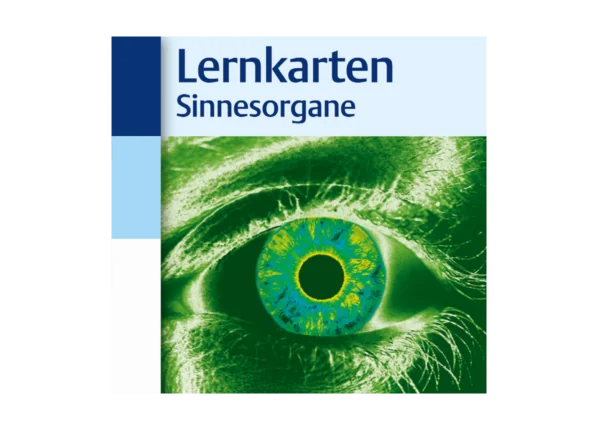 Lernkarten Sinnesorgane Cover Verla Thieme